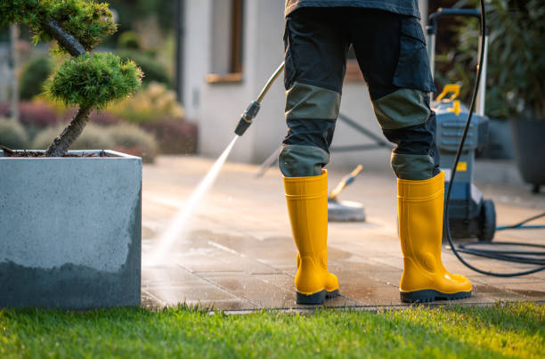 Best Power Washing Near Me  in Peculiar, MO
